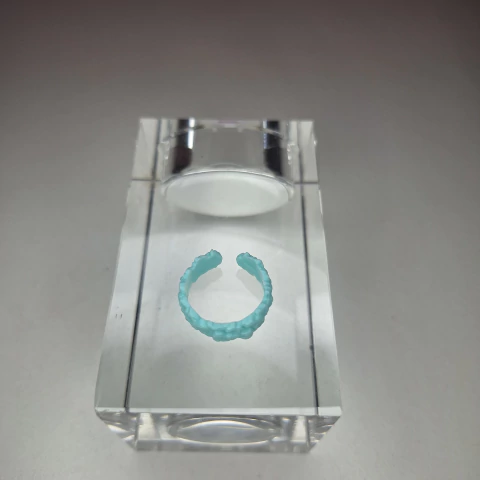 Acessorio do Cabelo Boneca Holly O'Hair Sugar Coated Ever After High