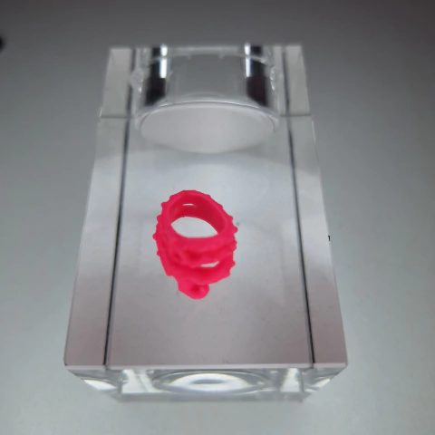 1 (um) Tornozeleira Boneca ClawVenus Freaky Fusion Monster High