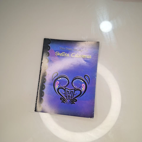 Diário Boneca Skelita Calaveras Collector Monster High - comprar online