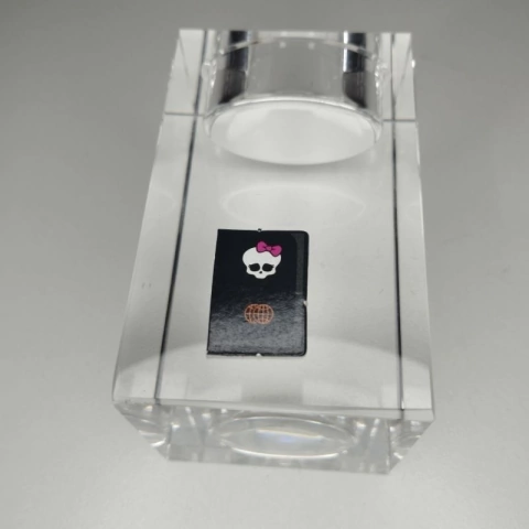 Mini Passaporte Boneca Marisol Coxi Lorna McNessie Excharge Monster High