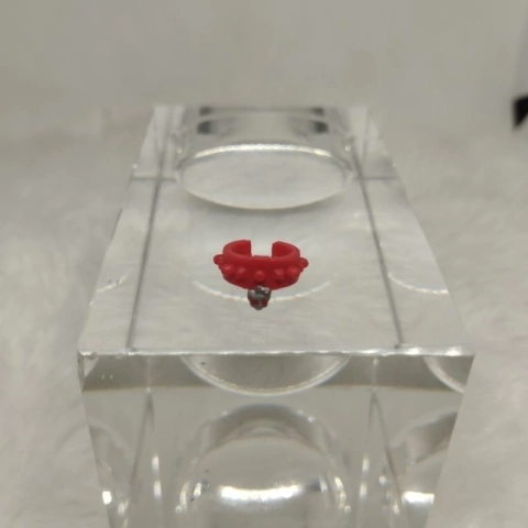 Colar Boneca Toralei Strip Power Ghouls Monster High