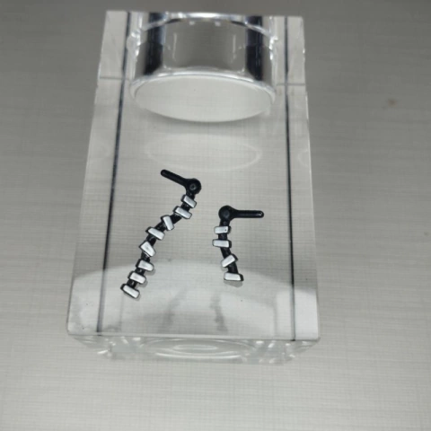 Par de Brincos Boneca Frankie Stein Sweet 1600 Monster High