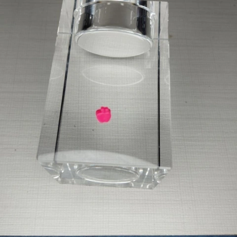 Anel Boneca Apple White Way To Wonderland Ever After High