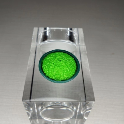 Comida Prato Verde Escola Monster High