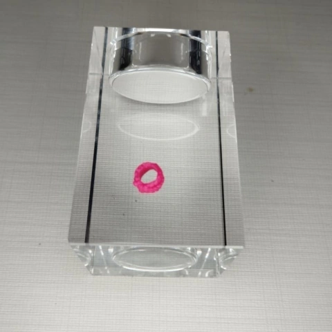 Pulseira Rosa Boneca Holly O'Hair Básica Ever After High