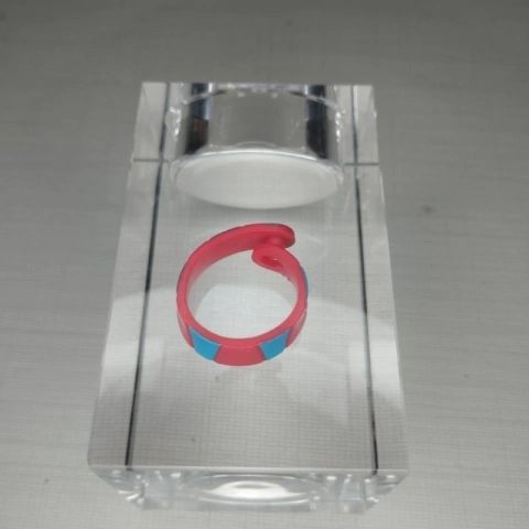 Cinto Boneca Frankie Stein Home Ick Classroom Monster High