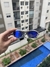 Splice Preta c/ Lentes Royal Blue