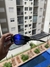 Eye Jacket Black c/ Lentes Royal Blue