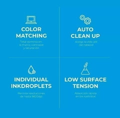 Tinta Para Epson L850 L1800 Art Jet Comercial COMBO X 600ml - Insumos de impresion Burzaco