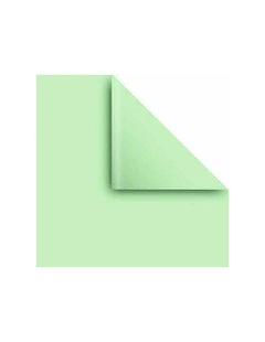 Papel afiche | VERDE PASTEL
