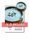 Adhesivo mate texturado | 5 HOJAS - comprar online