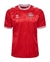 Camisa Dinamarca Home 24/25