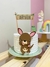 TOPO CANGURU