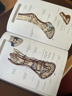 Imagen de Atlas Ilustrado de Anatomia Equina - Sistema Locomotor