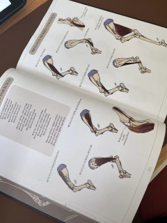 Atlas Ilustrado de Anatomia Equina - Sistema Locomotor en internet