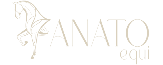 Anatoequi