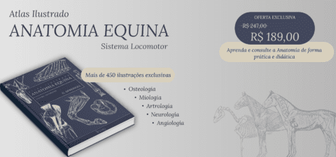 Slider image Anatoequi