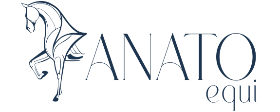 Anatoequi