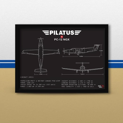 Quadro/Poster Pilatus Pc-12 Ngx