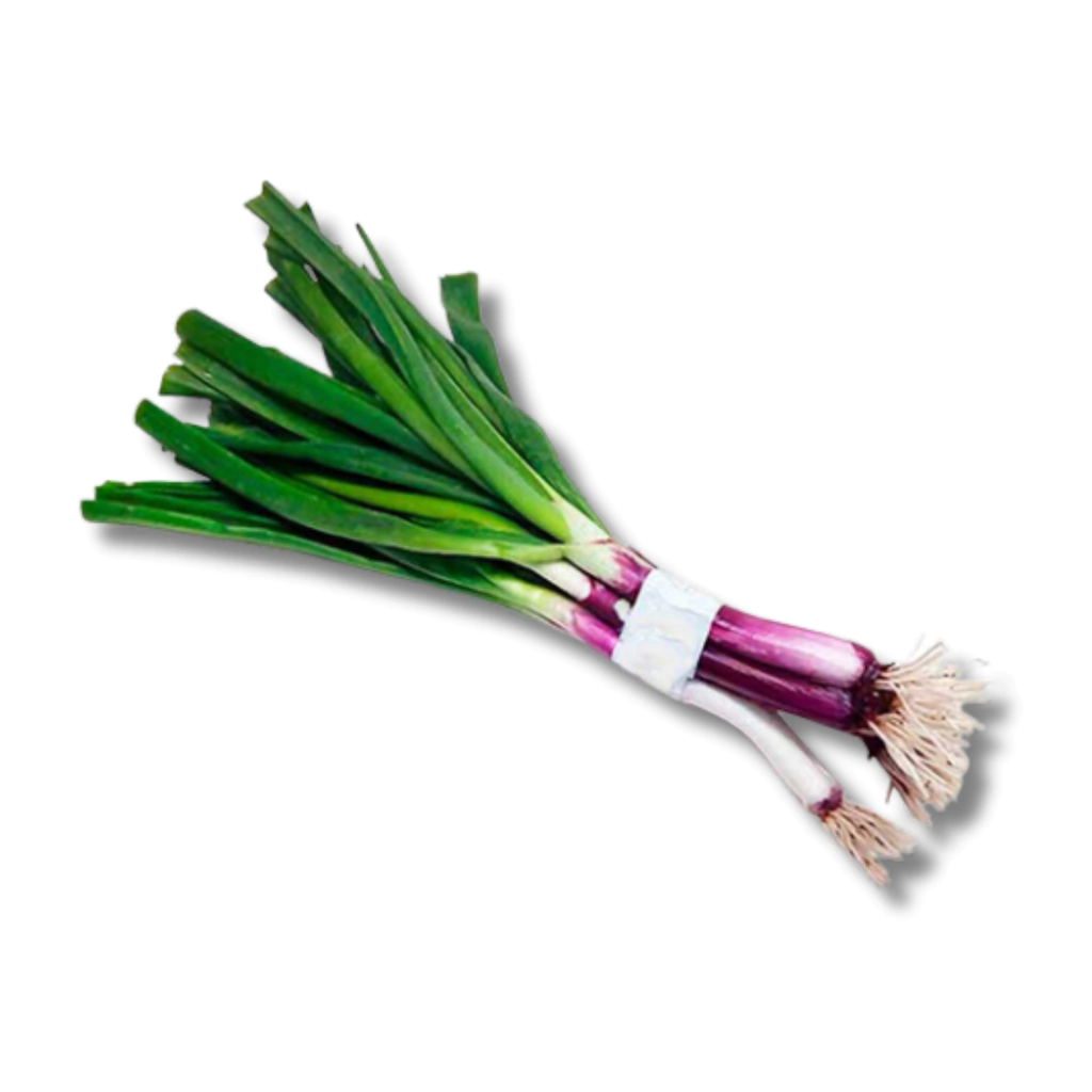 Semillas de Cebolla Verdeo Morada