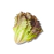 Semillas de Lechuga 4 estaciones - comprar online