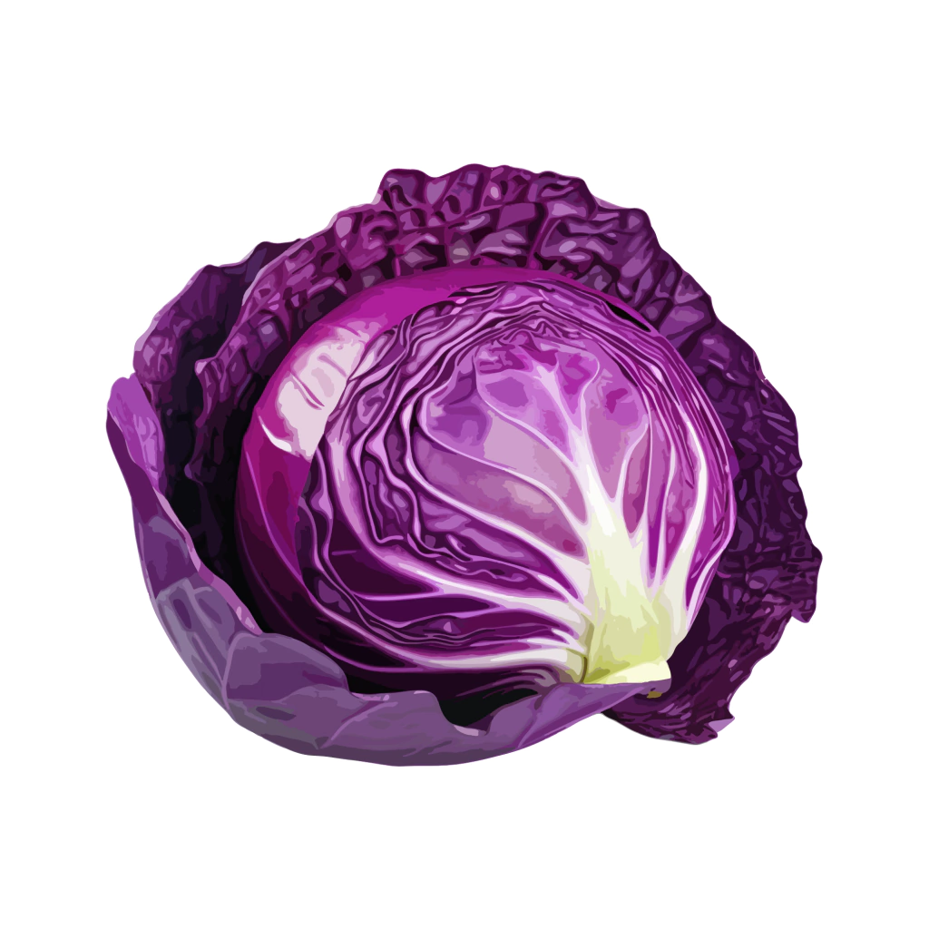 Semillas de Repollo Morado
