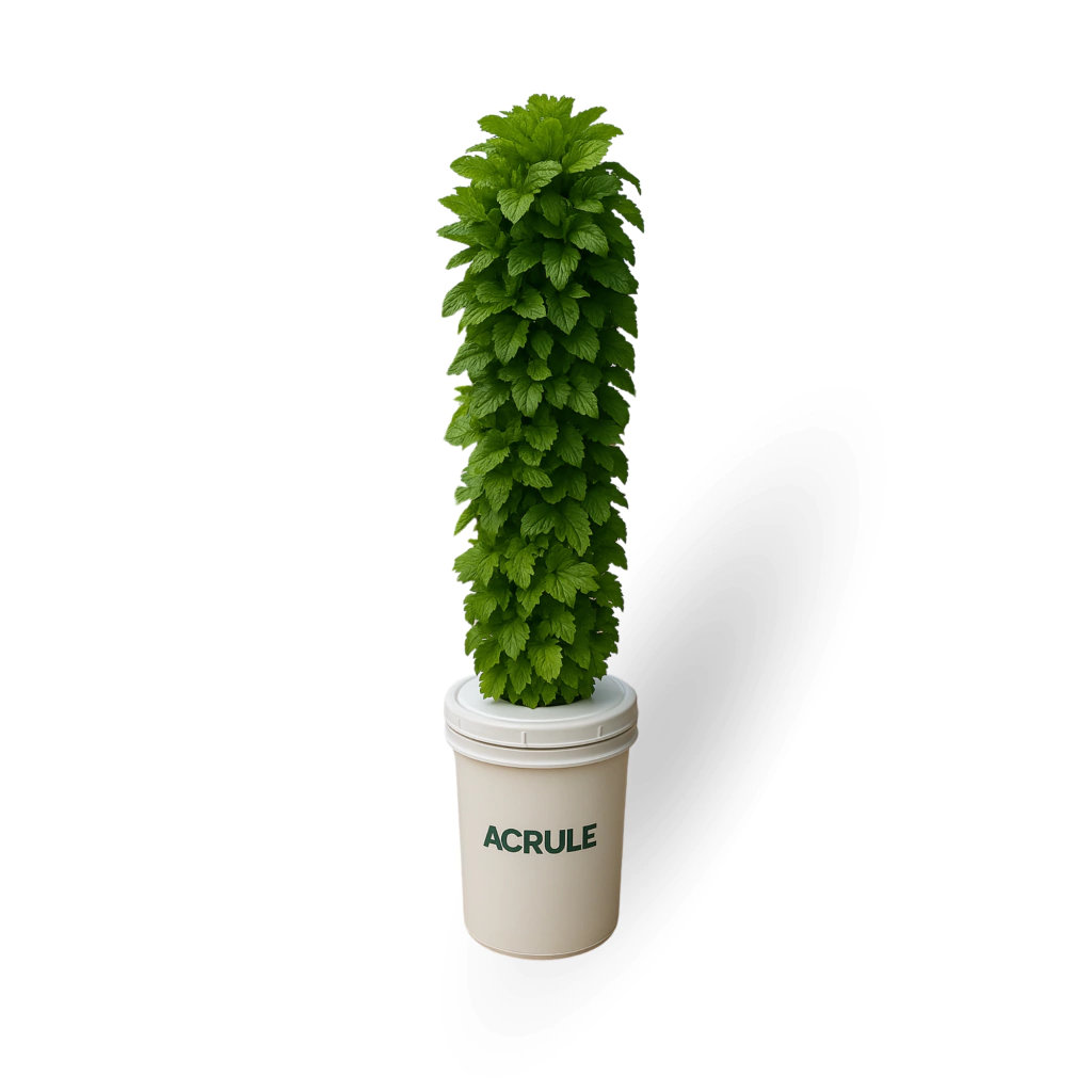 20 Plantas - Huerta Vertical + Insumos