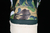 Forum low 84 x bape green - loja online