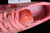 Bermuda semi pink spark - loja online