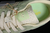 Gazelle indoor semi green spark na internet