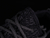 Yeezy 350 v1 pirate black - loja online