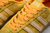 Bermuda bold gold - loja online