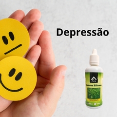 Juncus Effusus 60ml ( Trata o seu EMOCIONAL ) - loja online