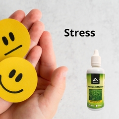 Juncus Effusus 60ml ( Trata o seu EMOCIONAL ) - loja online