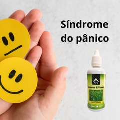 Juncus Effusus 60ml ( Trata o seu EMOCIONAL ) - SPAsso Saudável