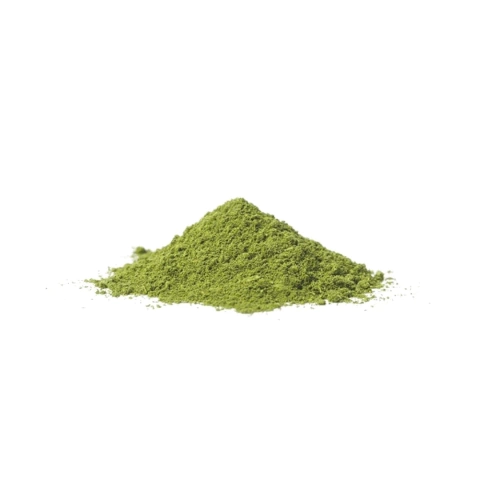 Moringa Pó Pura 1kg + Brinde