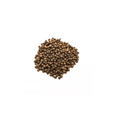 Pimenta do Reino Semente 100g