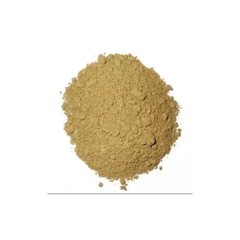 Cominho em Pó 100g