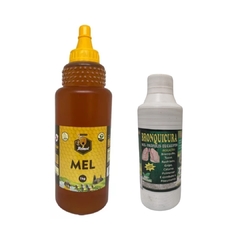 Xarope 100% Natural Bronquicura 300ml + Mel Puro 1kg - comprar online