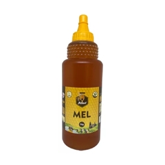 Xarope 100% Natural Bronquicura 300ml + Mel Puro 1kg - SPAsso Saudável