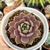 ECHEVERIA PLUTO (PT 9) na internet