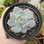 Imagem do ECHEVERIA MONROE (PT 9)