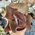 ECHEVERIA GIBBIFLORA BLACK ROSE (PT 9) na internet