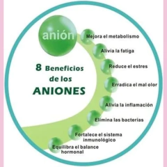 TOALLAS SANITARIAS DE DÍA Anion Premium - comprar en línea