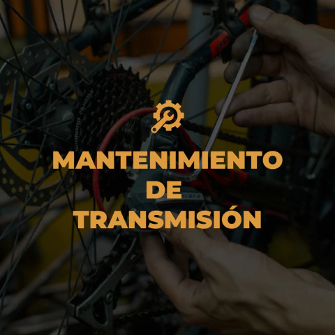 MANTENIMIENTO DE TRANSMISION - comprar online