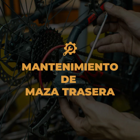 MANTENIMIENTO DE MAZA TRASERA - comprar online
