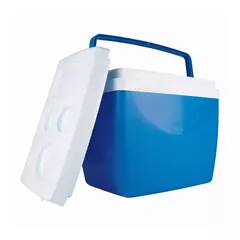 Conservadora Heladera Plastica Termica 34 Lts Mor en internet