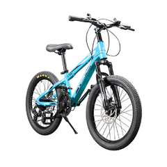 Bicicleta Head Bmx Mtb20 Aluminio 21v 20 Niños - HURLINBOX