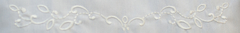 Banner de la categoría Docentes