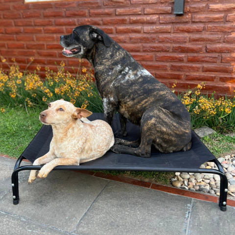 CATRE L 75x90cm - comprar online